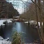 Lodge Hollicarrs - Woodland *