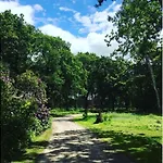 Hollicarrs - Woodland *