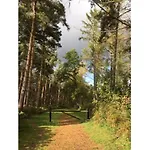 Hollicarrs - Woodland Lodge