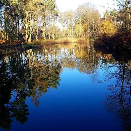 Hollicarrs - Woodland Orman Evi