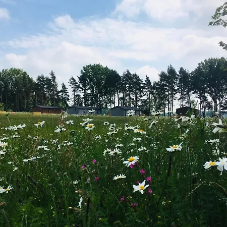 Hollicarrs - Woodland Orman Evi York