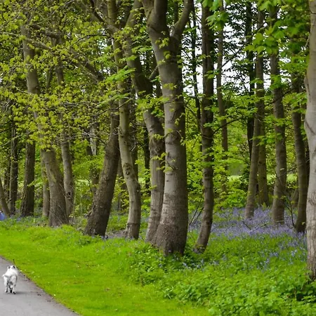 Hollicarrs - Woodland אכסניה