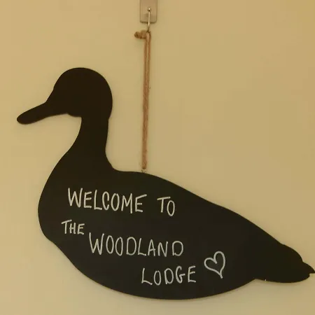 Lodge Hollicarrs - Woodland *
