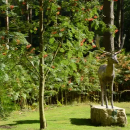 Hollicarrs - Woodland ヨーク