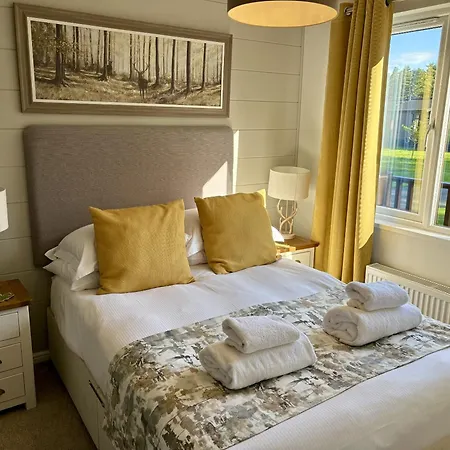 Lodge Hollicarrs - Woodland *