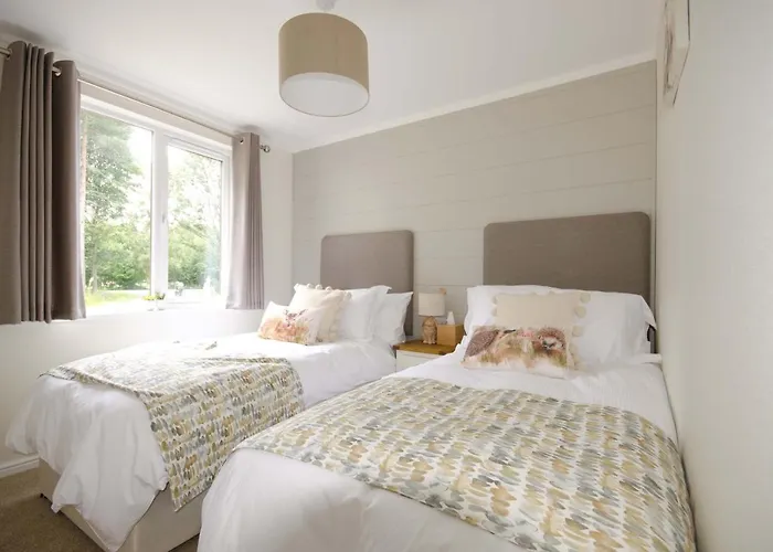 Hollicarrs - Woodland