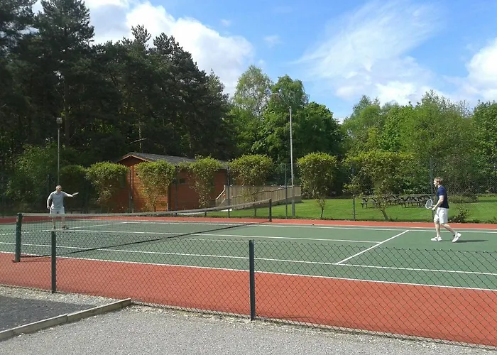 Lodge Hollicarrs - Woodland