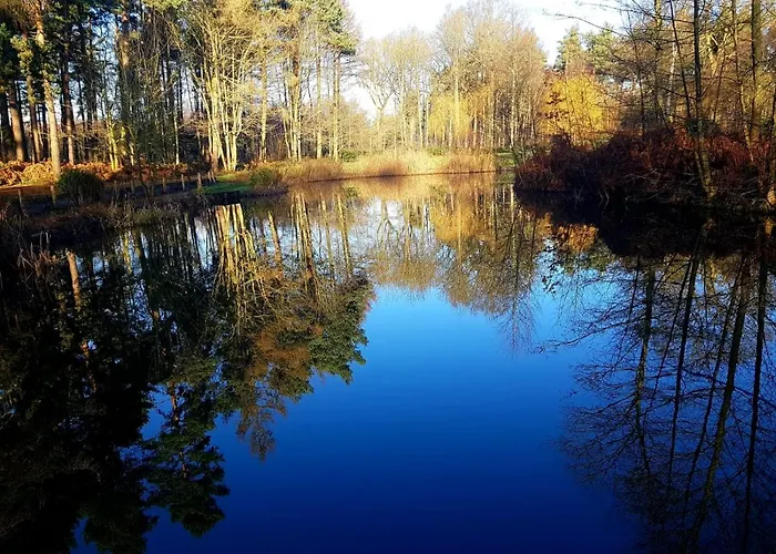 Hollicarrs - Woodland Lodge