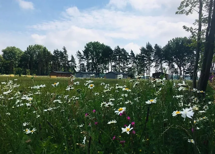 Hollicarrs - Woodland Lodge York