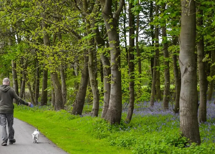 Hollicarrs - Woodland Lodge