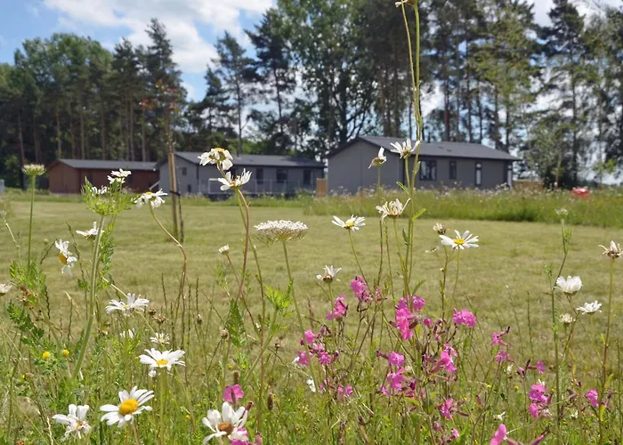 Lodge Hollicarrs - Woodland *