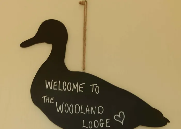 Lodge Hollicarrs - Woodland *