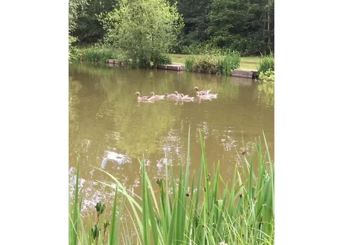 Hollicarrs - Woodland Lodge York