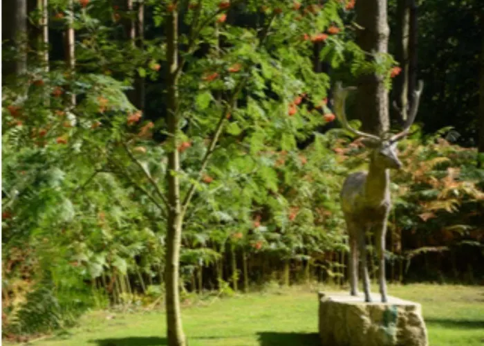 Hollicarrs - Woodland York