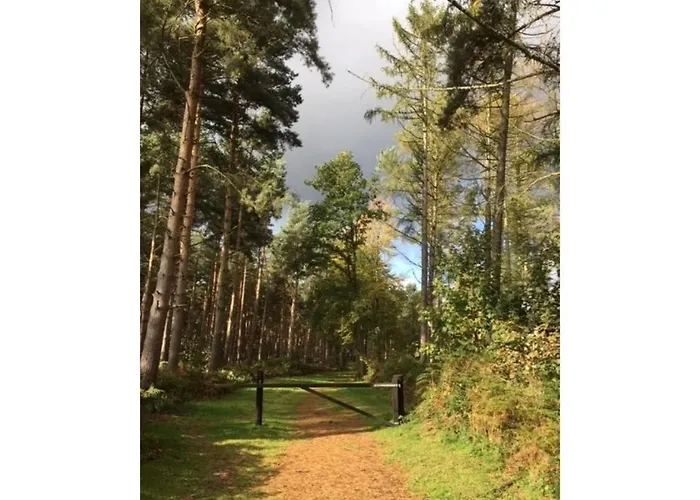 Hollicarrs - Woodland Lodge