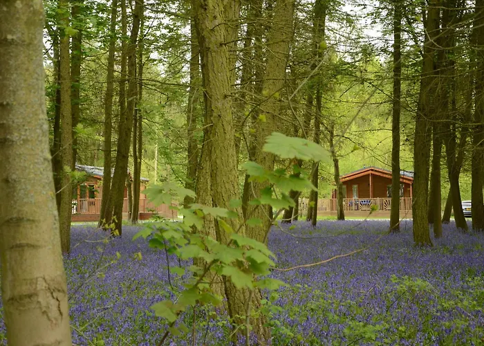 Hollicarrs - Woodland Lodge York