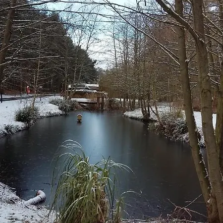 Lodge Hollicarrs - Woodland *