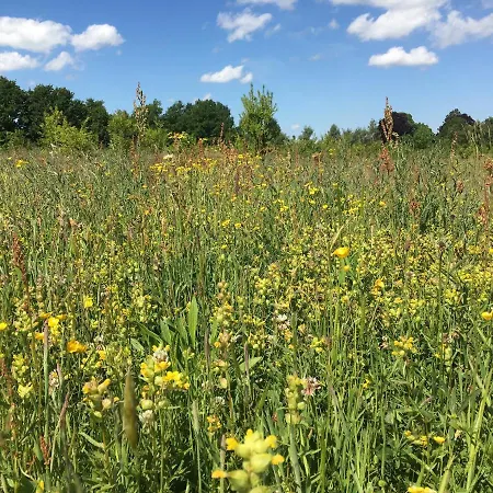 Hollicarrs - Woodland * York