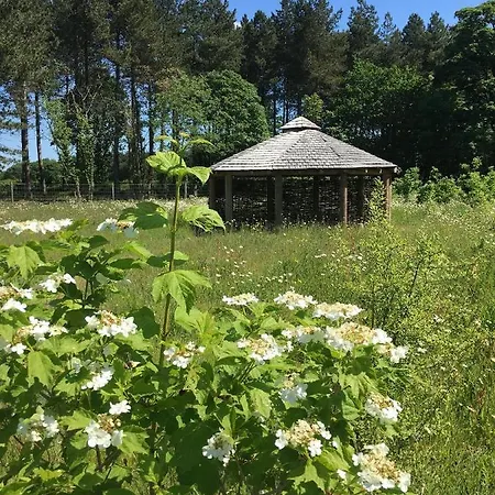 Lodge Hollicarrs - Woodland *