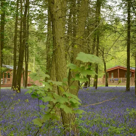 Hollicarrs - Woodland Jaktstuga York